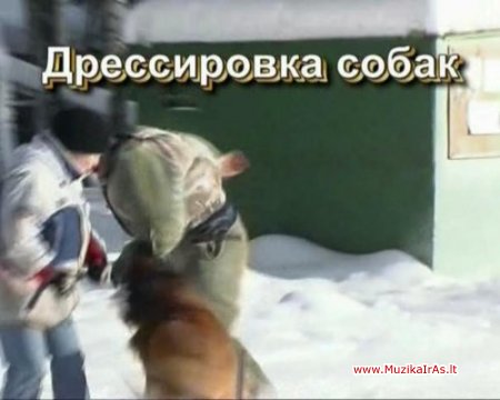 Dresiravimas.Дрессировка собак