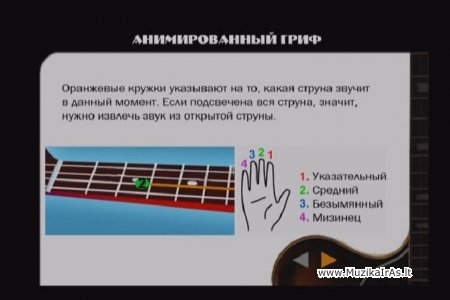 GITARA-bass.Бас-гитара. Виртуальный самоучитель.