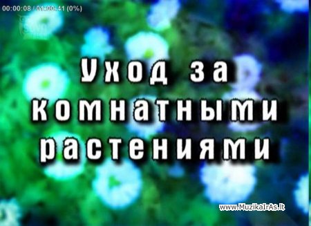 NAMAI.Уход за комнатными растениями