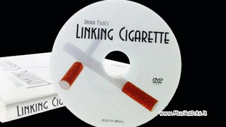 Fokusai.Linking Cigarette by Akira Fujii