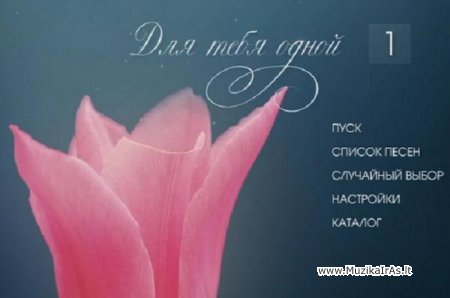 KARAOKE.Для тебя одной