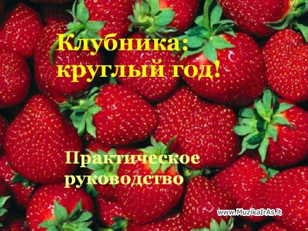 Braškės.Клубника: круглый год!