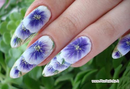 Būkit gražios!(Nagų dizainas)Китайская роспись ногтей