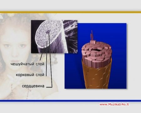 Grožio salonas.Kelias į save.Путь к себе: Маникюр. Педикюр. Уход за волосами. Прически и укладки