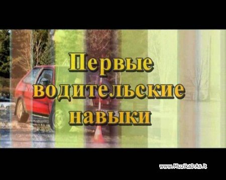 Automobilis.Курс вождения автомобиля Смотри и учись.
