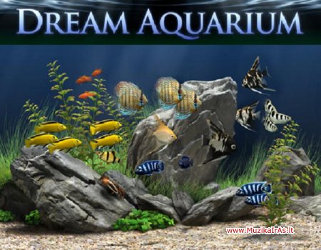Dream Aquarium Screensaver 1.2415