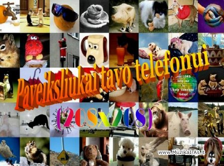 Paveiksliukai tavo telefonui