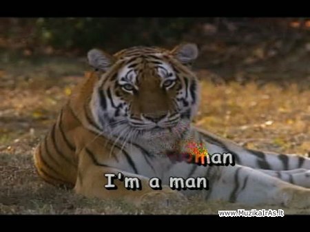 Karaoke.Лучшие песни зарубежных исполнителей