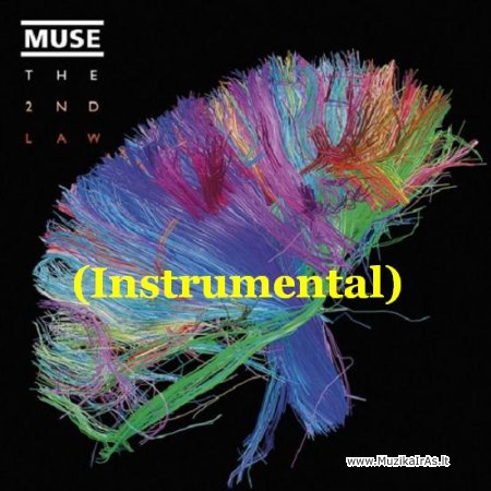 Muse - The 2nd Law (Instrumental)