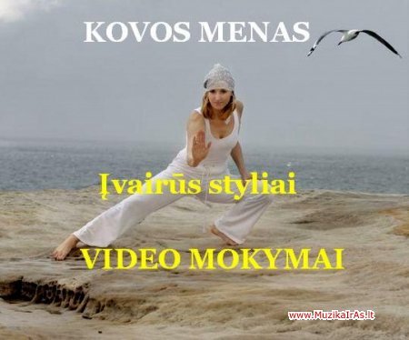 Kovos menas