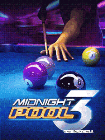 Žaidimas.Midnight Pool 3