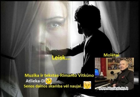 R.Vitkūnas-Leisk...