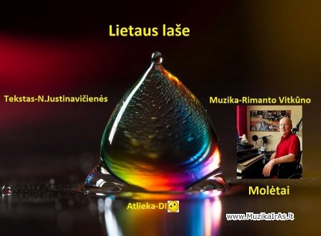 R.Vitkūnas-Lietaus laše