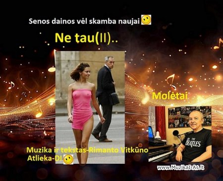 R.Vitkūnas-Ne tau(2)