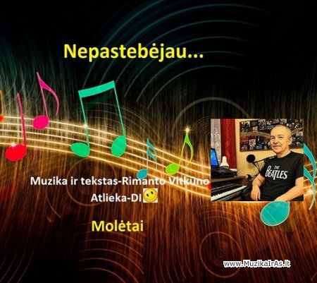 R.Vitkūnas-Nepastebėjau